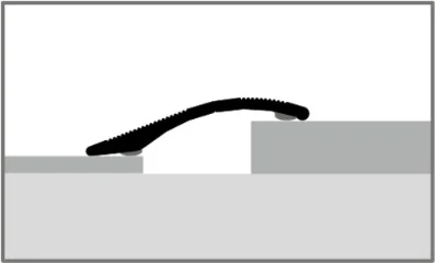 PF247SK profil oldalnézetből