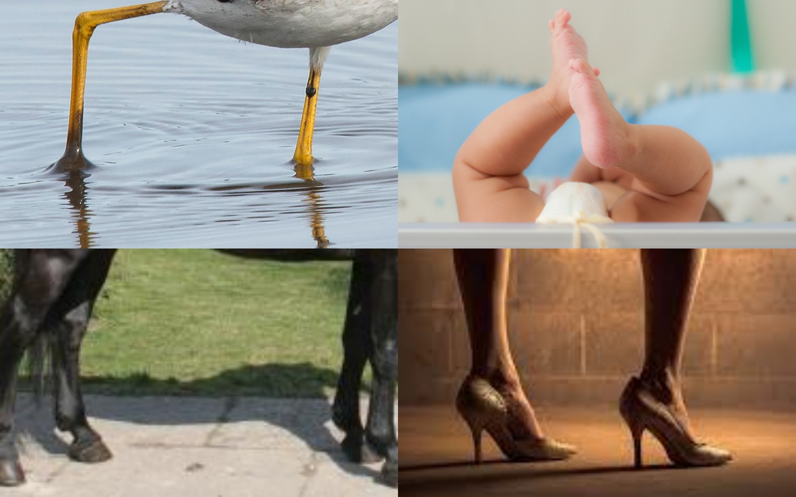 h2o.hu szintezőláb rendszerek